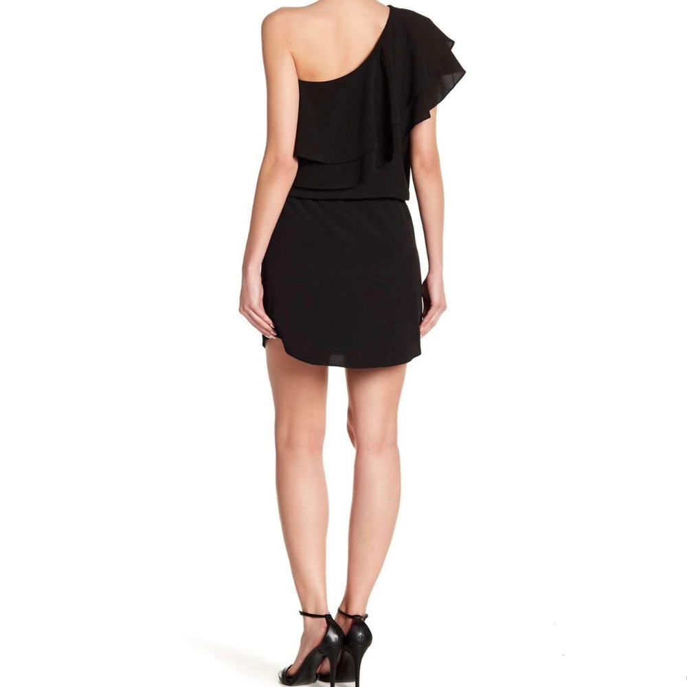 Haute Hippie One Shoulder Dress - Picture 3 of 8